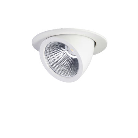 Dove Mini