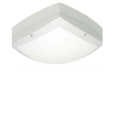 Sedge Square Wall Mounted