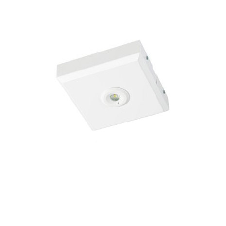 OWL4 Square Self contained LED Surface Emergency