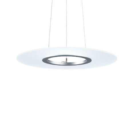 Ardea C